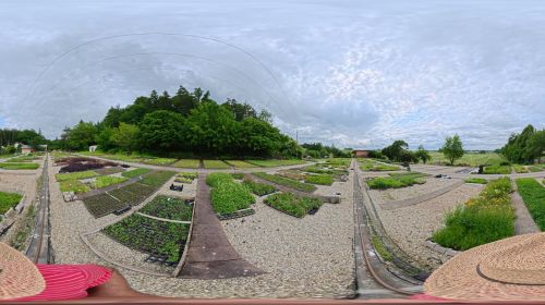 360 Grad Foto der Gärtnerei